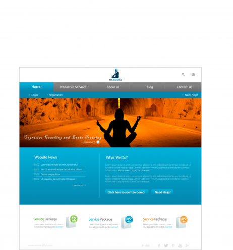 Website Design #31 | 'Mr. Mindful Cognitive Coaching and Brain Training ...