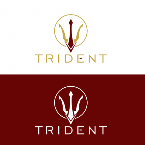 Logo Design #242 | 'Trident' design project | DesignContest