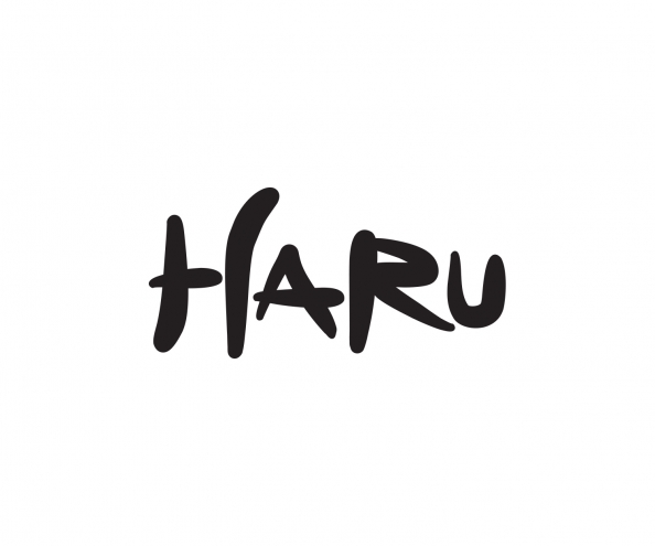 Logo Design #56 | 'HARU' design project | DesignContest