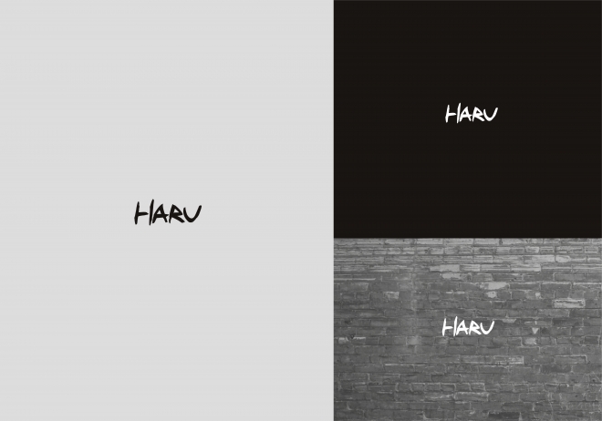 Logo Design #72 | 'HARU' design project | DesignContest