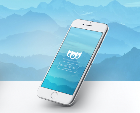 Mobile App Design by Brown bear meetup