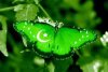 Hello - last post by uzairdesigner